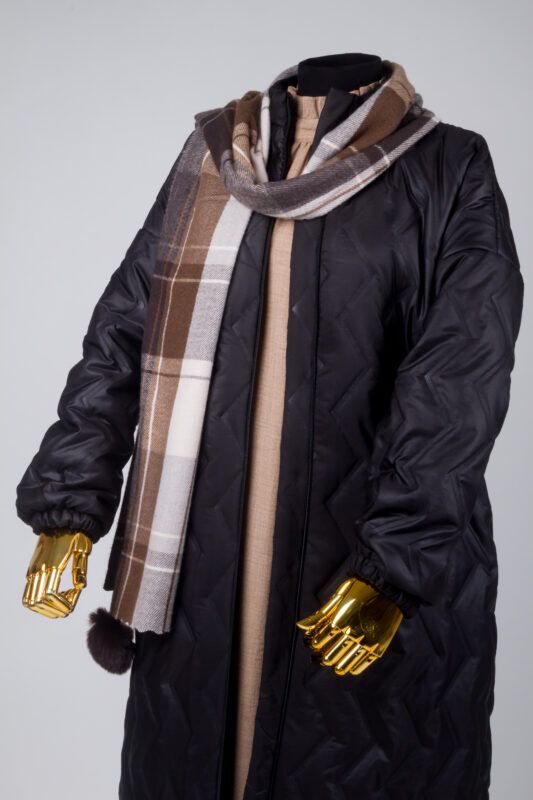 unmanteau de dignite